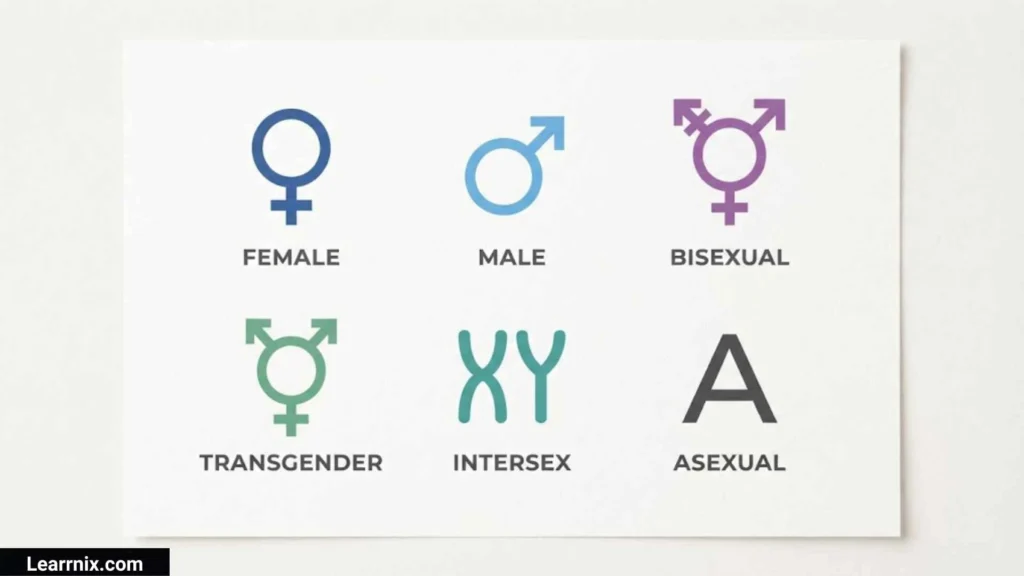 Gender Symbols
