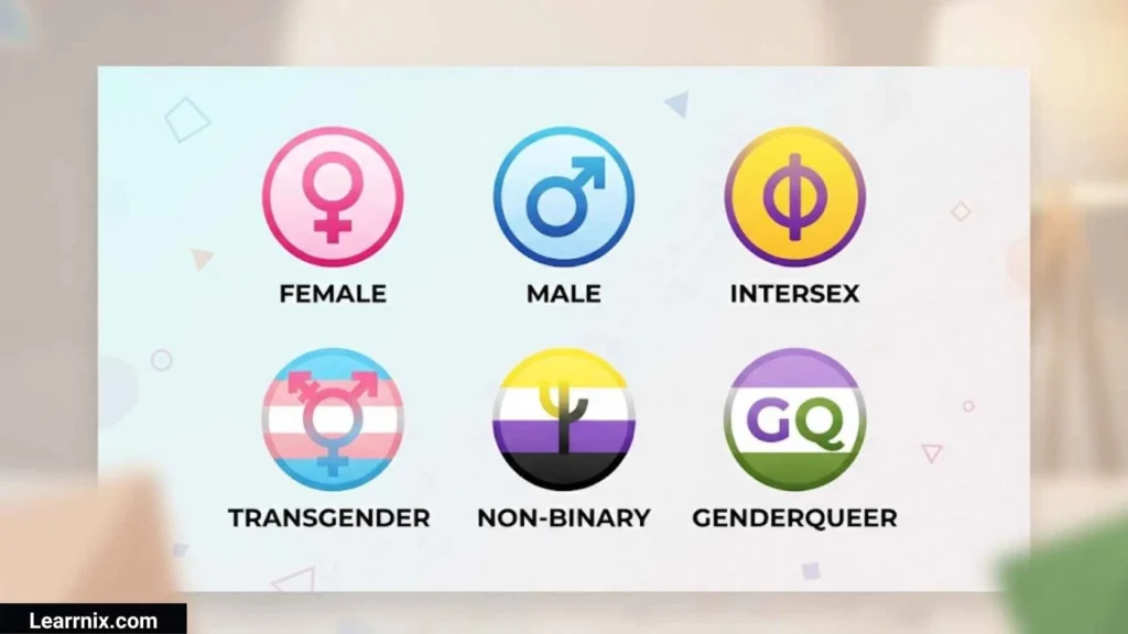 Gender Symbols