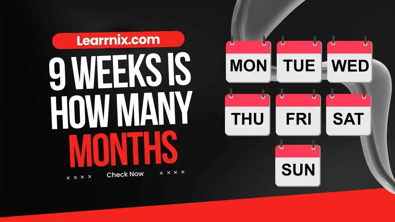 9 Weeks is How Many Months
