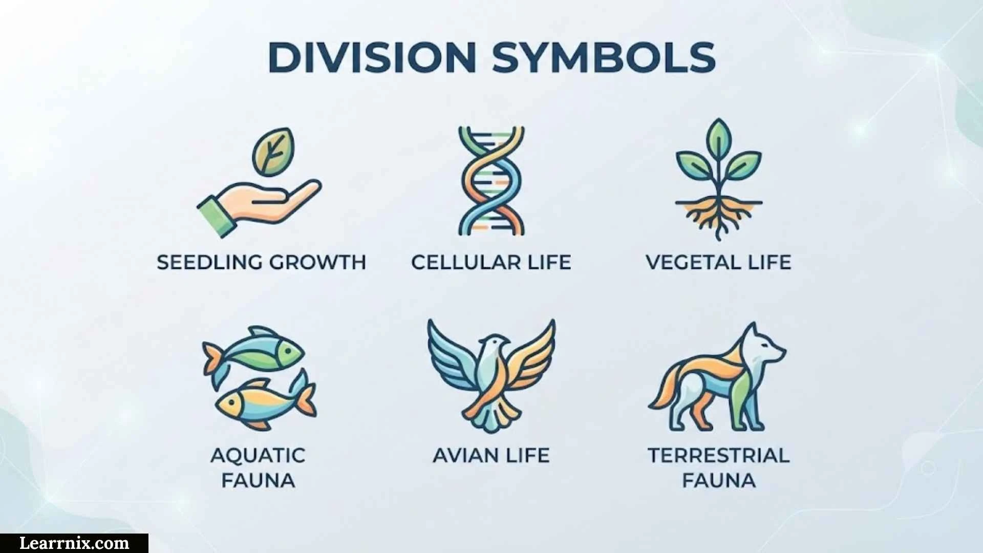 Division Symbols