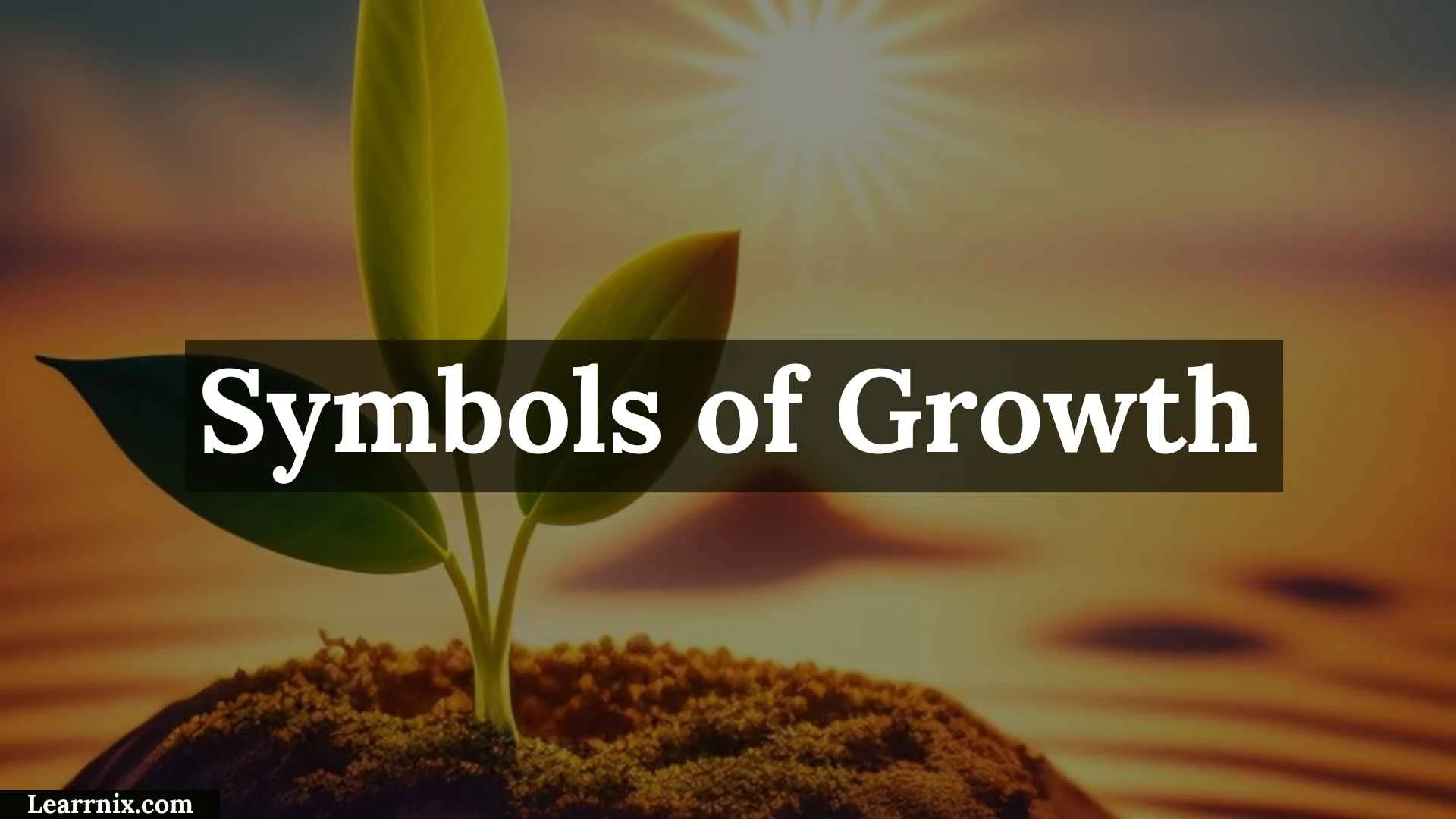 Symbols of Growth